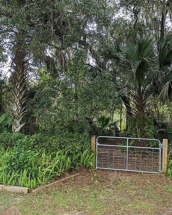 1st image of 1710 Hideaway Forest Trl