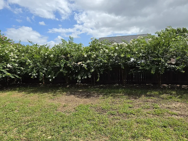 The backyard provides privacy.