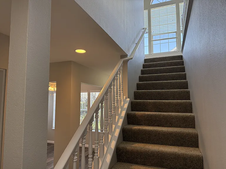 558 Torrey Pine Ln — Photo 6
