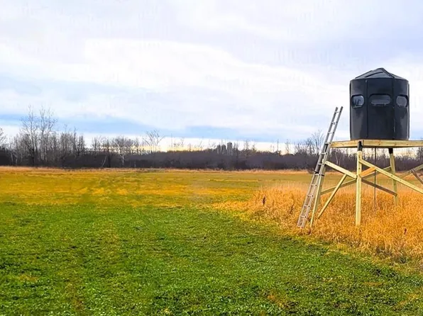 25 Acres Progressive Road, Tony, WI 54563