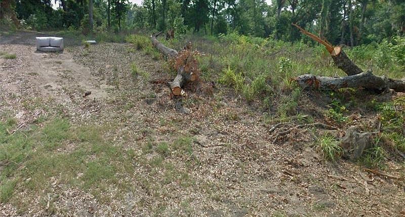 2nd image of 6415 McCall Rd