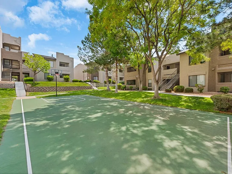 Basketball Court