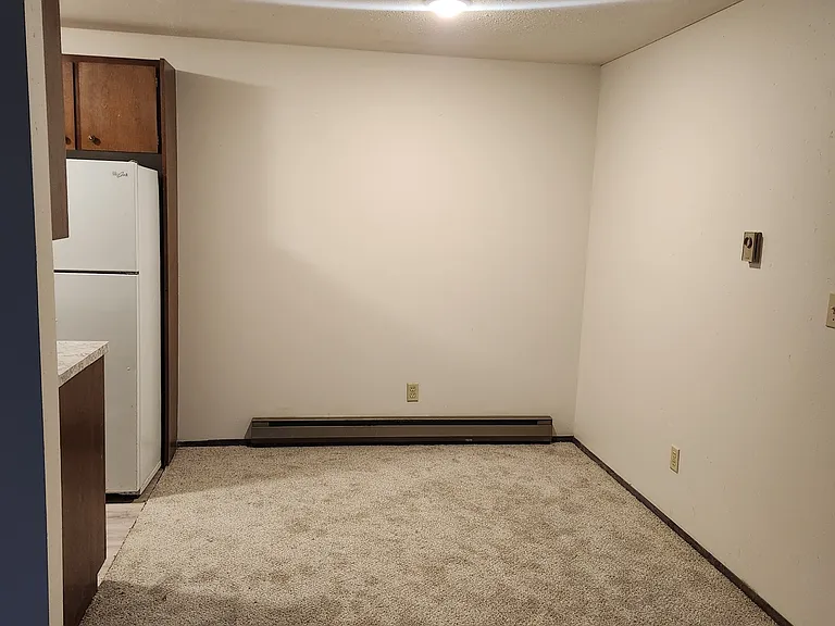 105 E 3rd Ave #29 — Photo 4