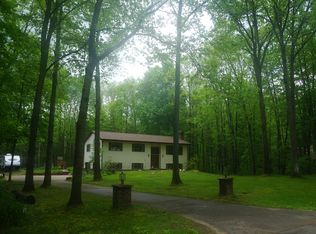 19380 Golfview Dr, Big Rapids, MI 49307
