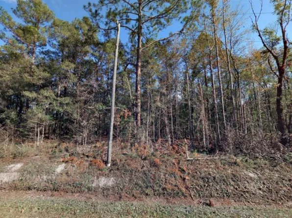 10410 Vaughan Ave Lot 1112, Hastings, FL 32145