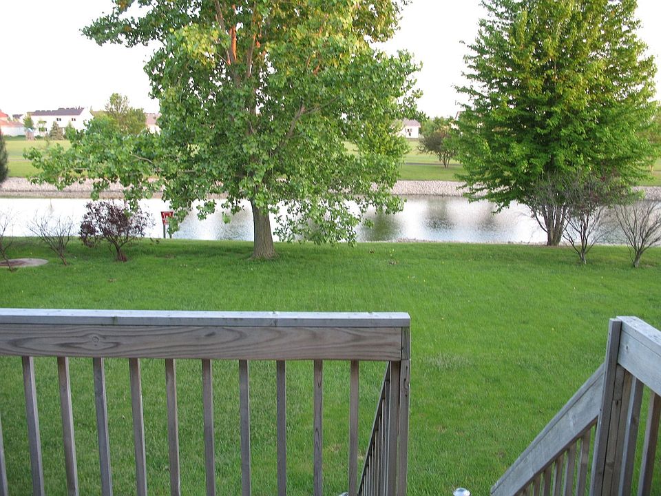 Backyard view