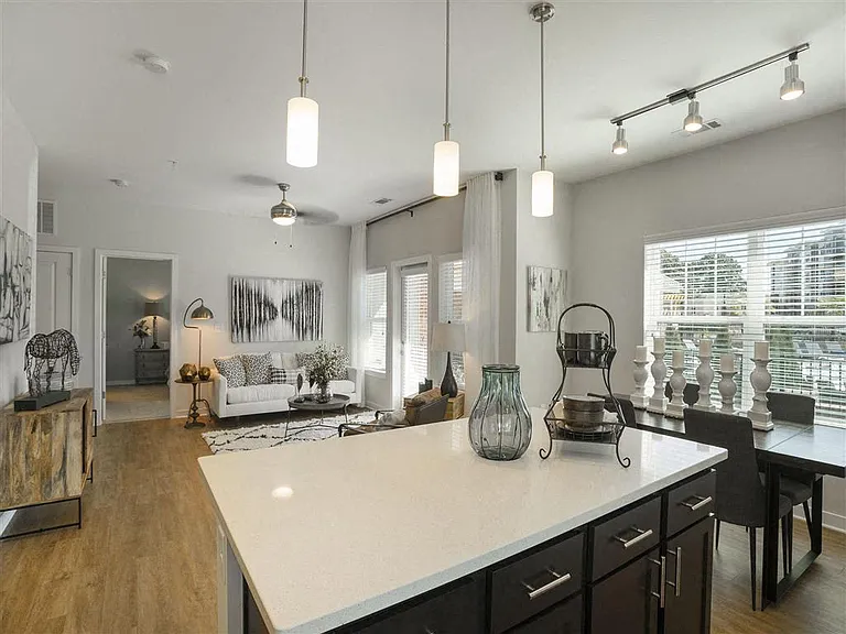 Pointe at Prosperity Village Apartments — Photo 52