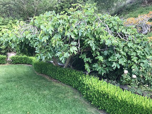5th image of 2448 Arbutus Dr