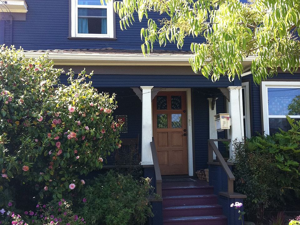 Dark Blue with White Trim