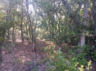 9035 Realstone Dr, Webster, FL 33597