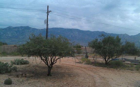 5th image of 15759 N Twin Lakes Dr