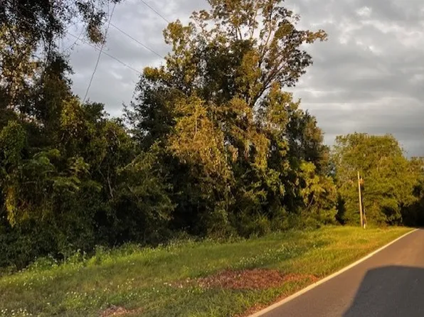 5950 NW County Road 236, Bell, FL 32619