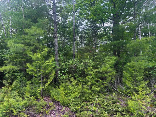 LOT 115 Bonita Dr, Presque Isle, MI 49777