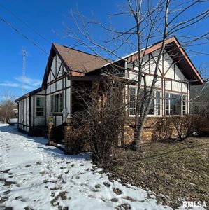 311 W Helen Ave, Christopher, IL, 62822