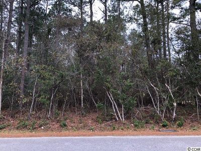 36 George Washington Trl, Georgetown, SC, 29440