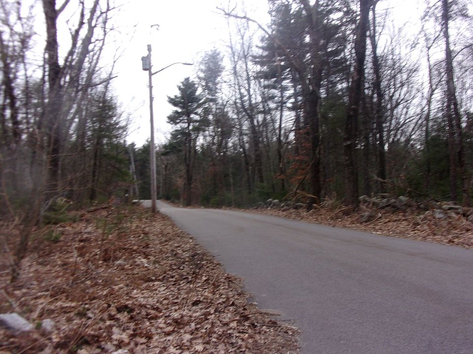 2nd image of 155 Elysium St