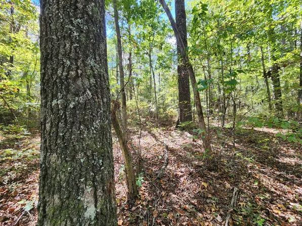 17 Whitetail Dr, Mentone, AL 35984
