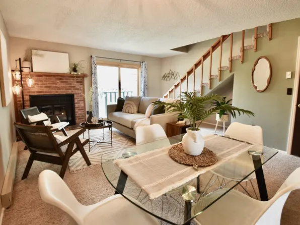 258 Cove Boulevard UNIT 9, Dillon, CO 80435