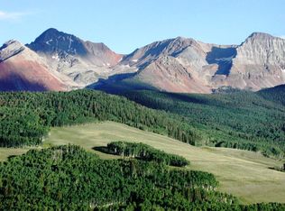 Little Cone Acs LOT 141-T2, Placerville, CO 81430