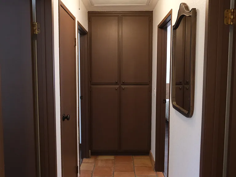 30023 White Wake Dr — Photo 14