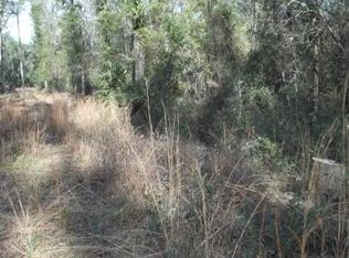 2347 SW Junction Rd, Fort White, FL 32038