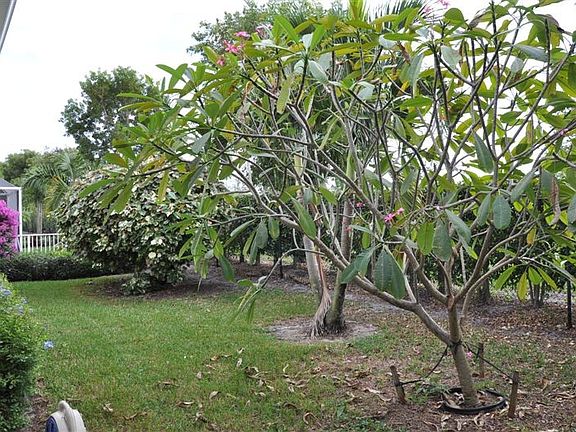 3rd image of 6562 Jog Palm Dr