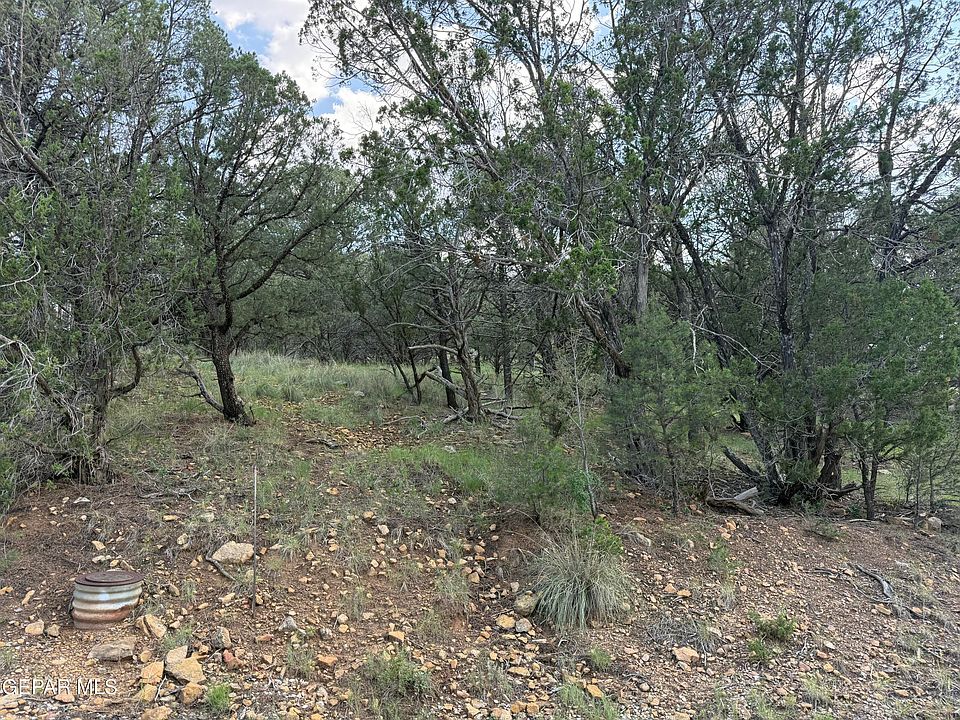 1st image of Pn0361738 Tbdchisholm Trl