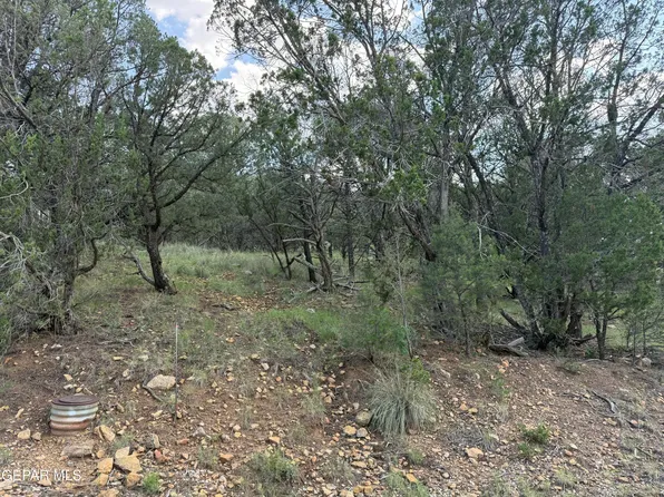 Pn0361738 Tbdchisholm Trl, Ruidoso, NM 88345