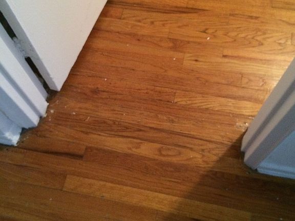 2nd image of 44 Fleetwood Ave APT 2G