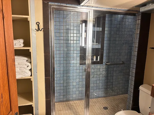 Walk-in shower with towel storage