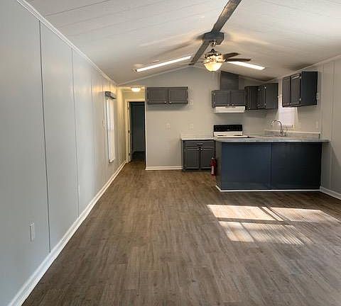 Livingroom and Kitchen