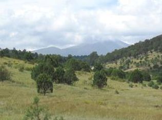 104 Kit Fox Ct, Alto, NM 88312