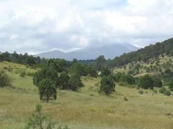 104 Kit Fox Ct, Alto, NM 88312