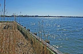 Bayviews from Street End