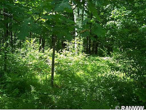 4th image of Lot 3 W Perch Lake Road
