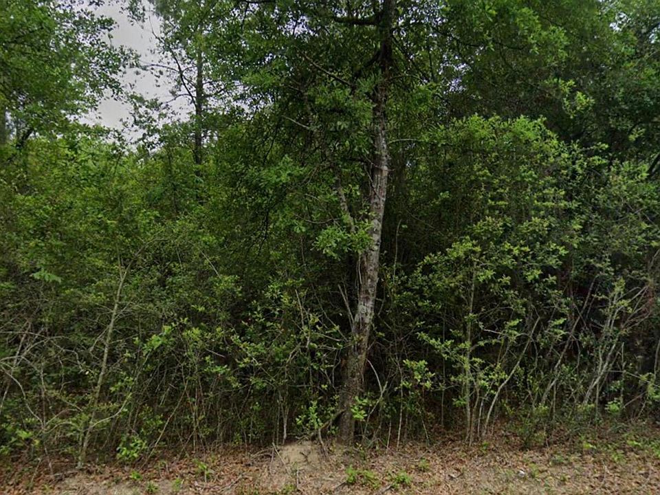 2nd image of 25079 Ramsey Rd