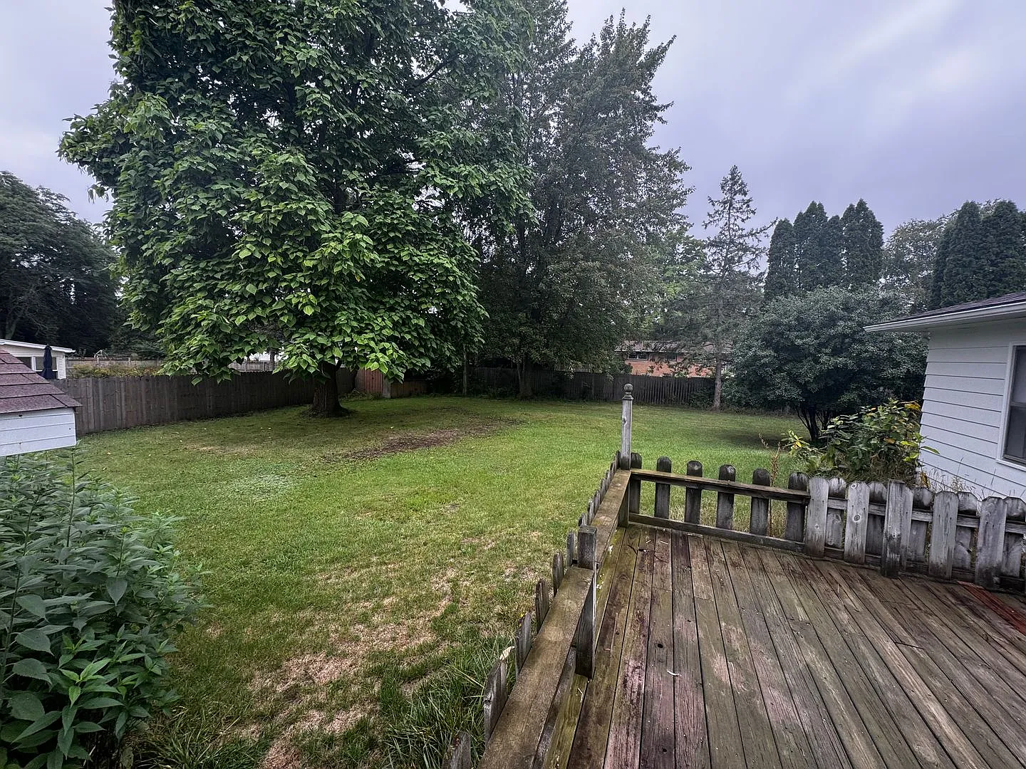 Beautiful and Tranquil home, close to campus, great quiet neighborhood — Photo 3