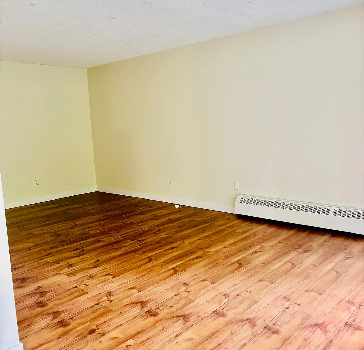 1 bed, 800 sqft, $1,550 — Photo 3