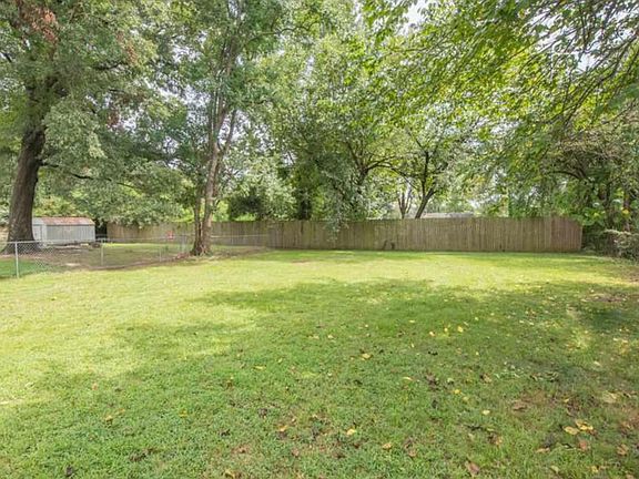 Backyard in the summer