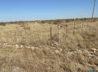 S Gill Rd, Lovington, NM 88260