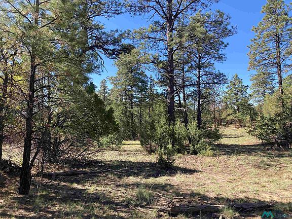 5th image of Rim Lots 72 & 73 Dr