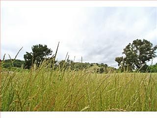 3rd image of 15365 Sycamore Dr