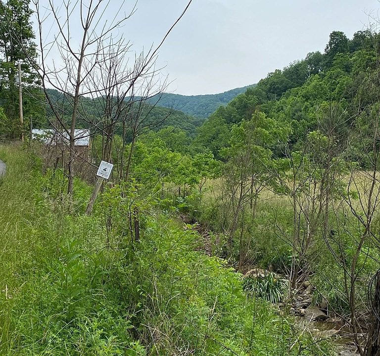 2nd image of 204 Daniels Rd