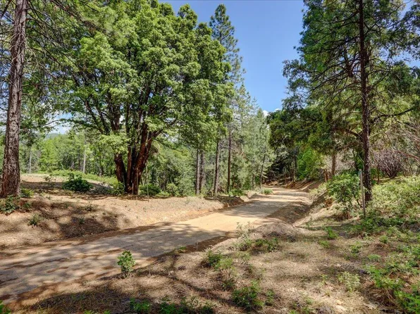 16890 Red Dog Rd, Nevada City, CA 95959