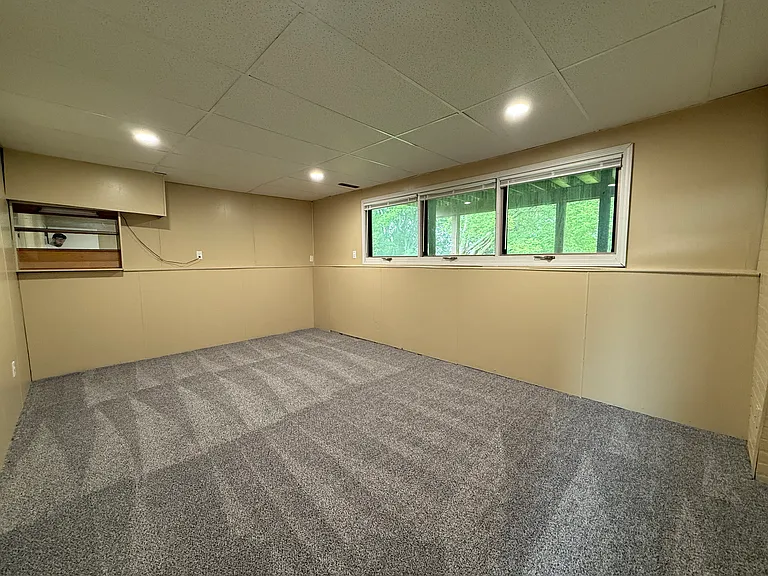 Lower level 4th bedroom or living room