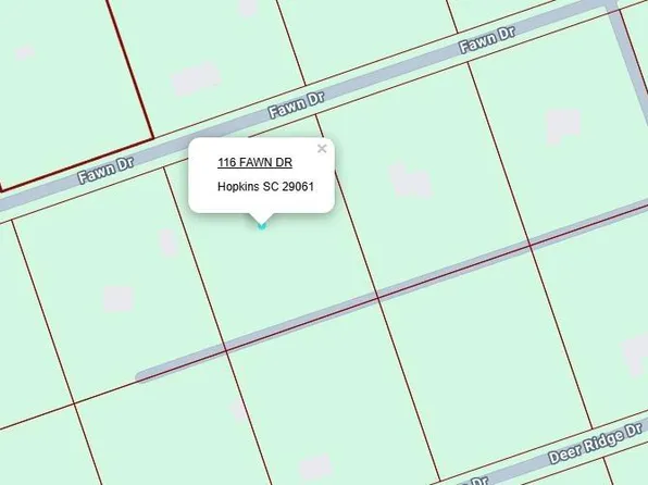 116 Fawn Dr, Hopkins, SC 29061