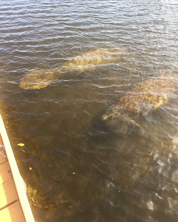 1st image of 2124 NE 27th Dr