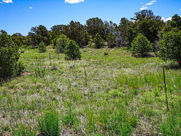 5th image of Comanche Dr #17