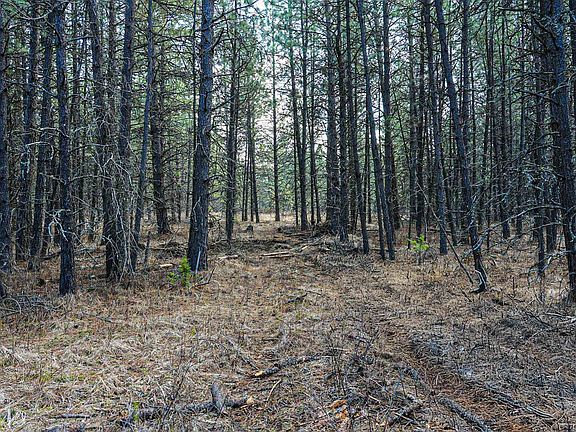 4th image of E Slaton Rd