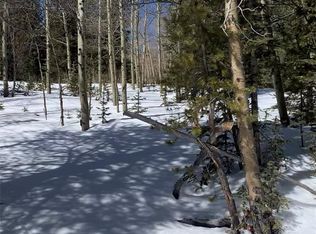 0 Forest Service Rd, Idaho Springs, CO 80452